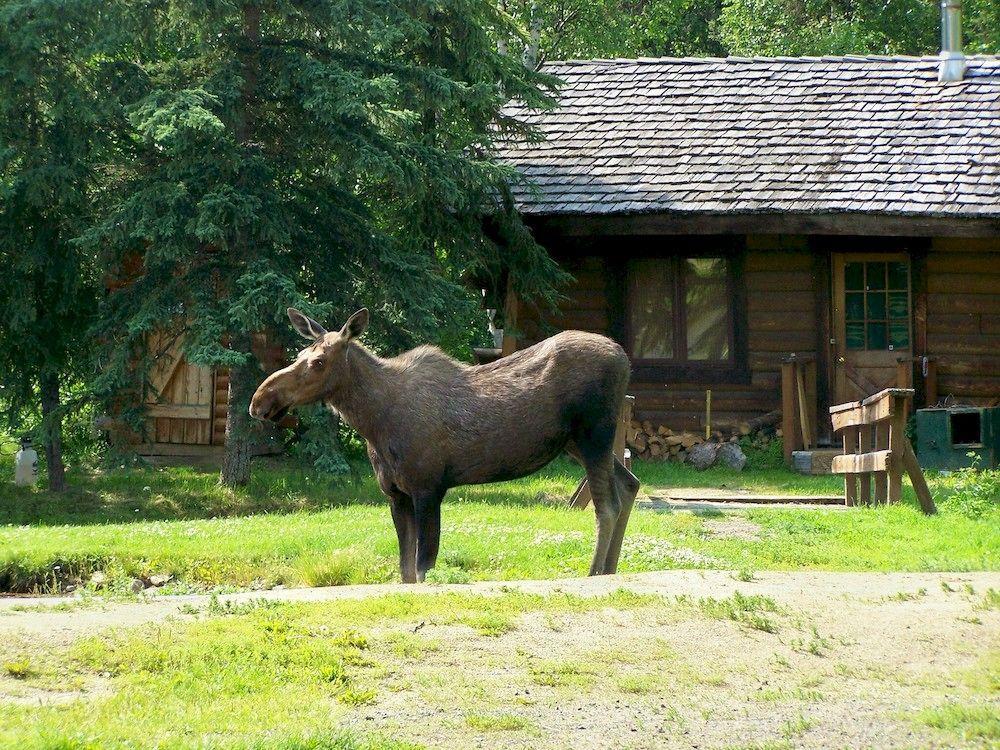 Chena Hot Springs Resort Fairbanks Bagian luar foto