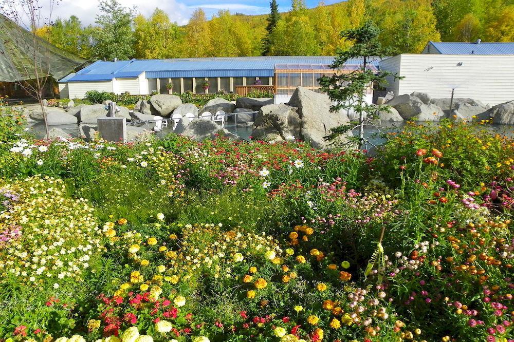 Chena Hot Springs Resort Fairbanks Bagian luar foto