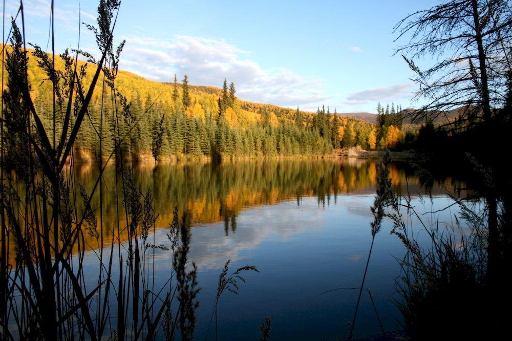 Chena Hot Springs Resort Fairbanks Bagian luar foto