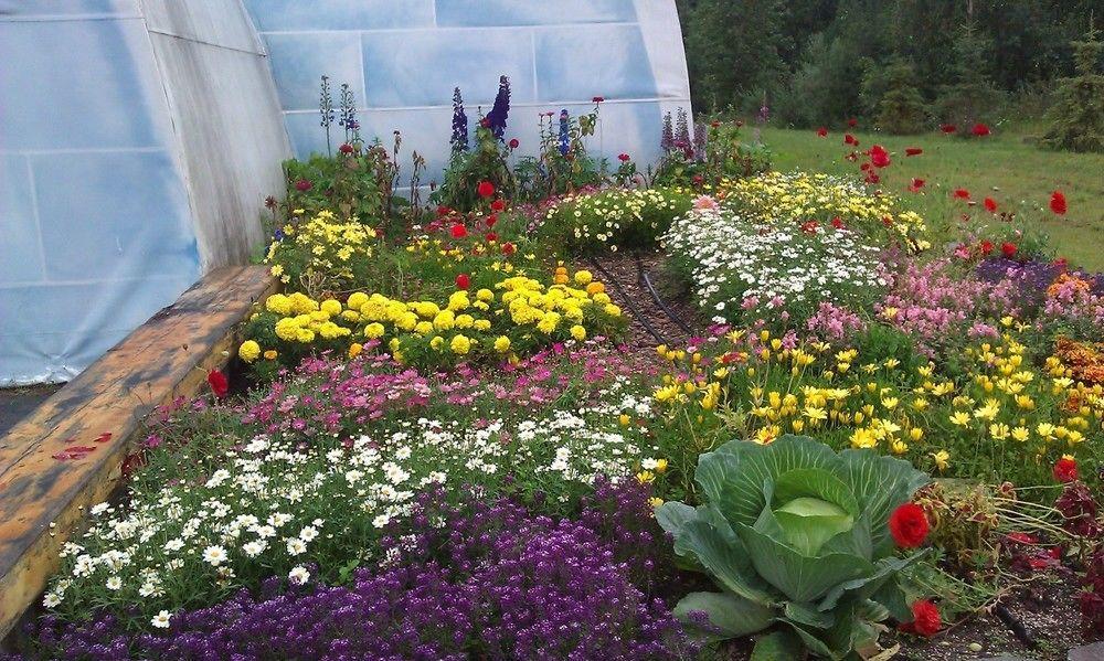 Chena Hot Springs Resort Fairbanks Bagian luar foto