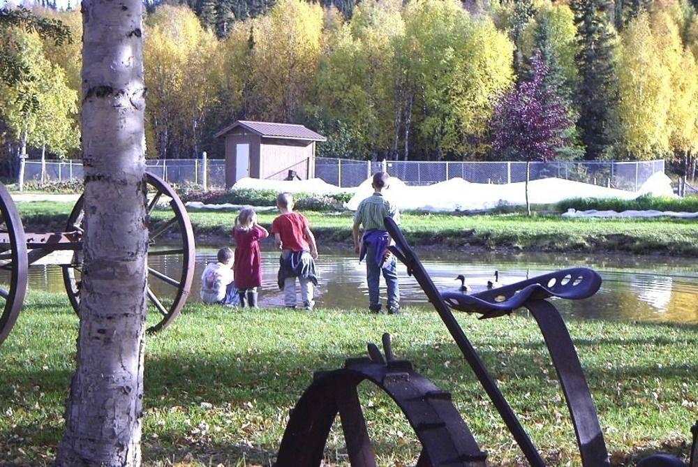 Chena Hot Springs Resort Fairbanks Bagian luar foto